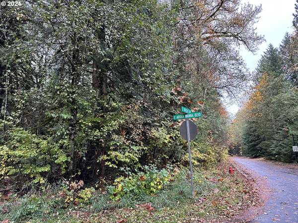 0 E Bright AVE #Lot 1, Welches, OR 97067