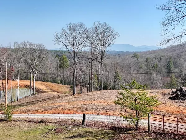 Blue Ridge, GA 30513,Lot B33 Bent Wood Lane