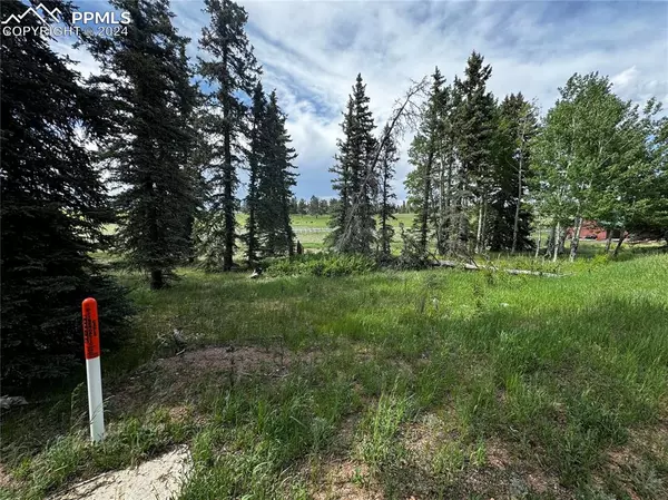 199 Joshua RD,  Divide,  CO 80814