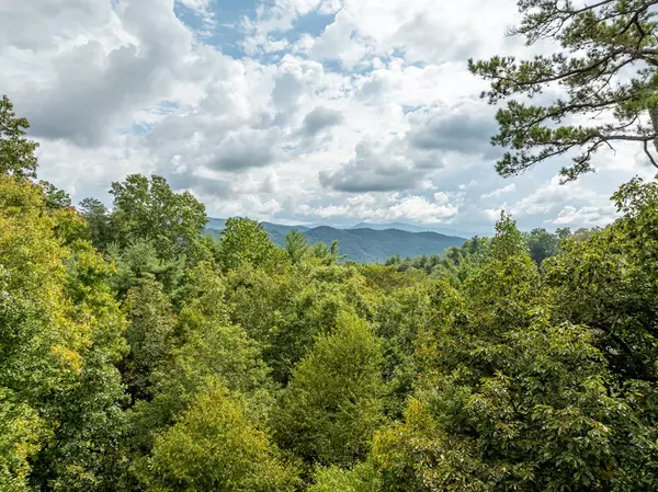 Blue Ridge, GA 30513,330 Choctaw Ridge