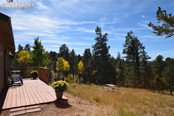 Woodland Park, CO 80863,6 Evergreen RD