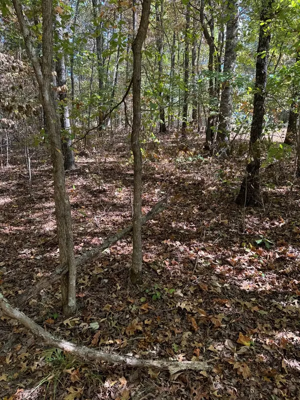 Spencer, TN 38585,lot 115 Camp Creek Rd