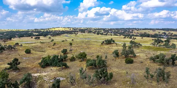 Fredericksburg, TX 78624,741 -- Marfa TRL