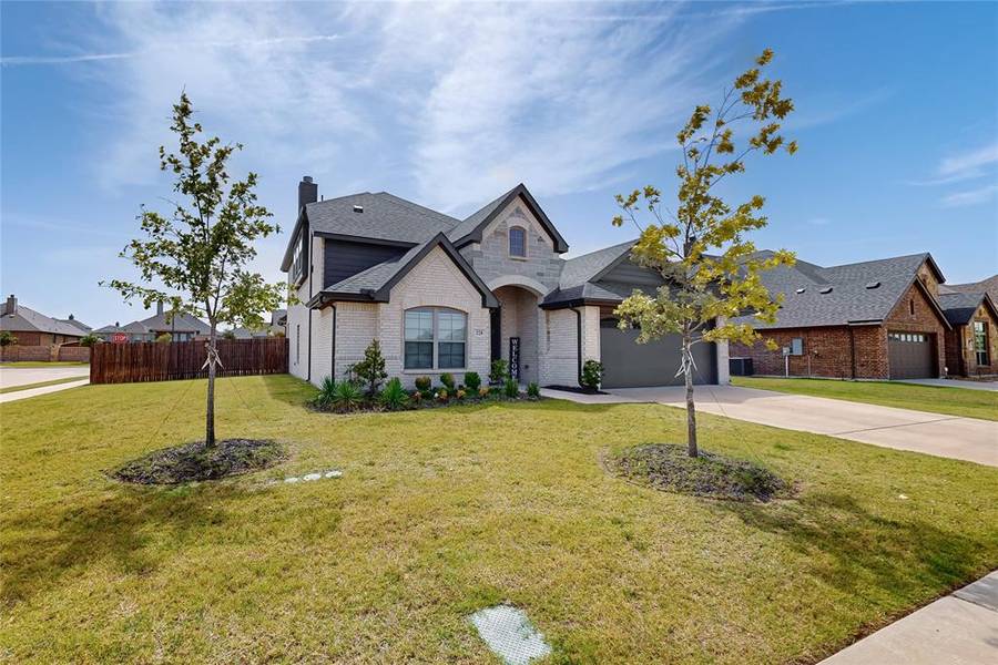 228 Lone Star Drive, Waxahachie, TX 75165