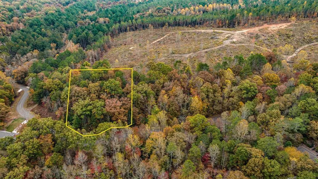 Ellijay, GA 30540,LOT 49 Lower Creek Trail