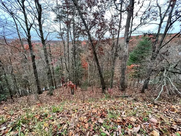 Lot 449 Mountain Tops Road, Blue Ridge, GA 30513