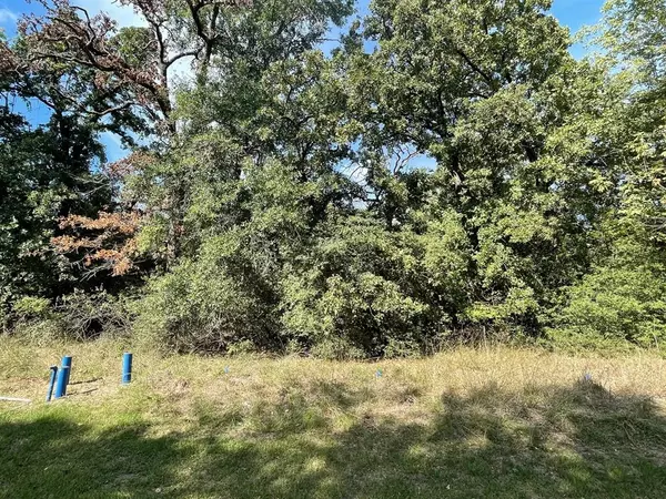 Streetman, TX 75859,Lot 166 Stonewall Drive