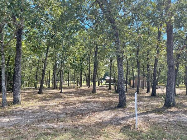 Streetman, TX 75859,Lot 15 Susan Grove Boulevard