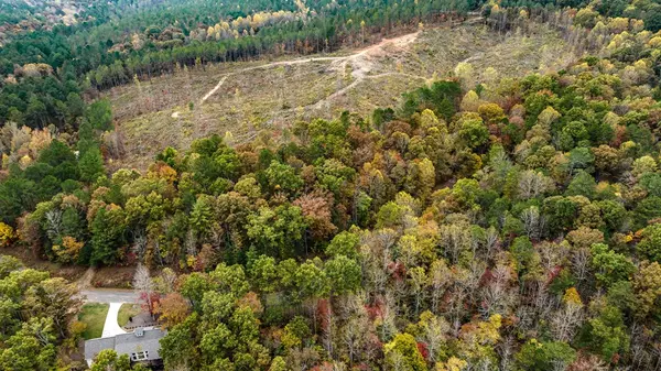 Ellijay, GA 30540,LOT 49 Lower Creek Trail