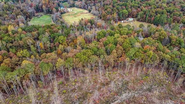 Ellijay, GA 30540,LOT 49 Lower Creek Trail