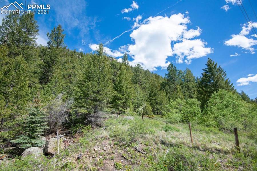 0 Bard Creek RD, Empire, CO 80438