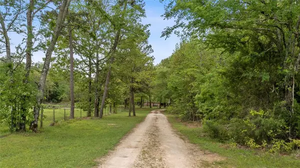 1840 VZ County Road 4609,  Ben Wheeler,  TX 75754