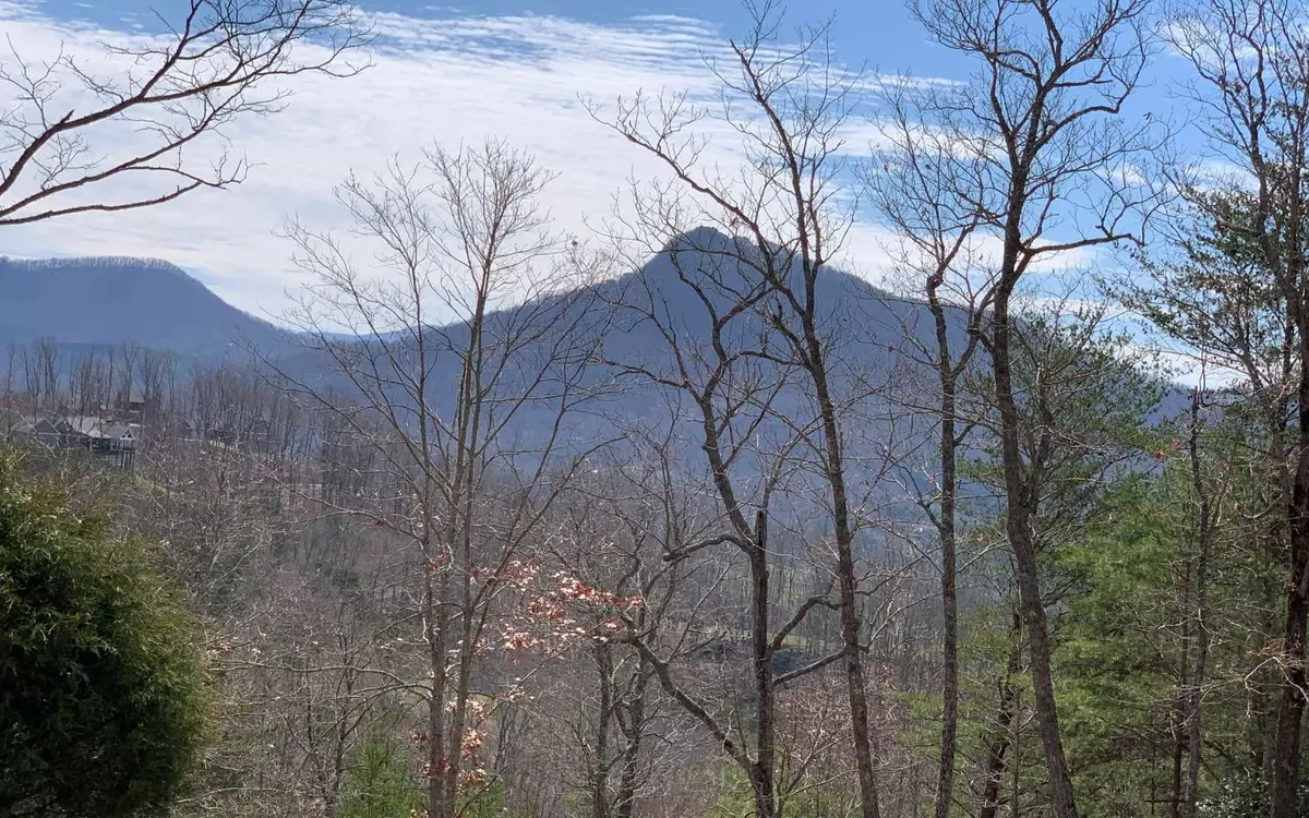 Hayesville, NC 28904,LOT42 Dan Knob