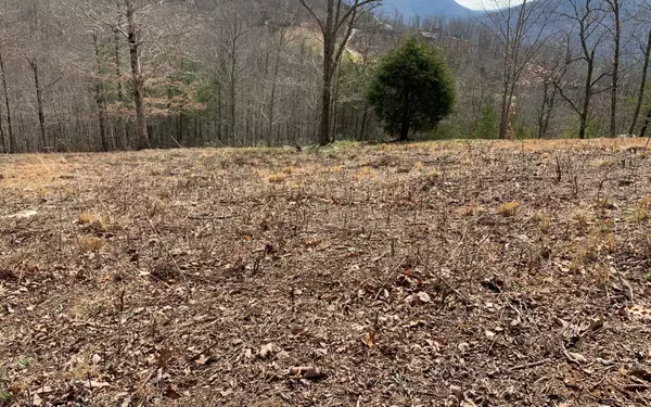 Hayesville, NC 28904,LOT42 Dan Knob