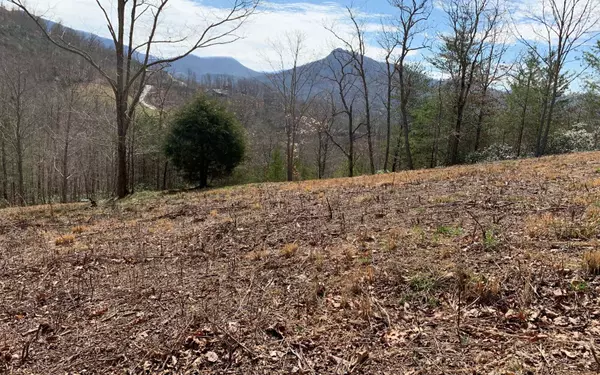 Hayesville, NC 28904,LOT42 Dan Knob