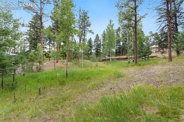 Woodland Park, CO 80863,941 Heather CT