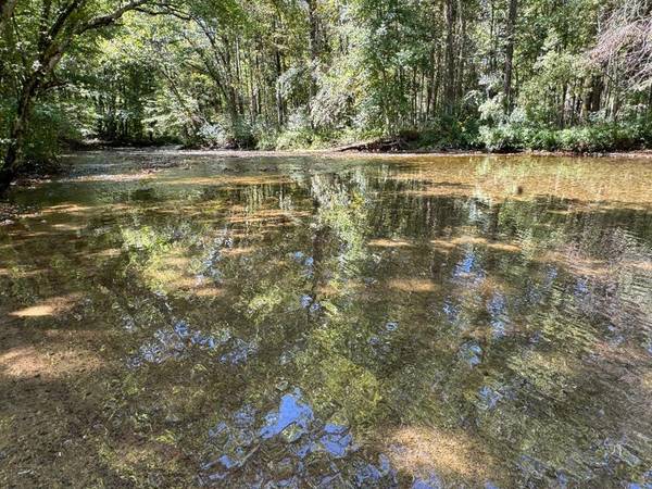 Glade Spring, VA 24340,TBD South Fork River Rd.