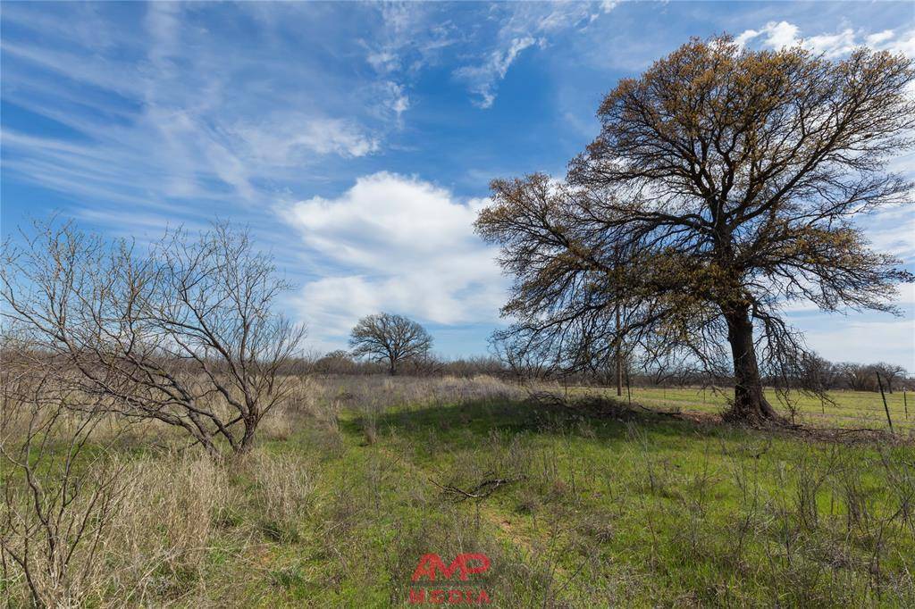 Anson, TX 79501,0000 CR 351