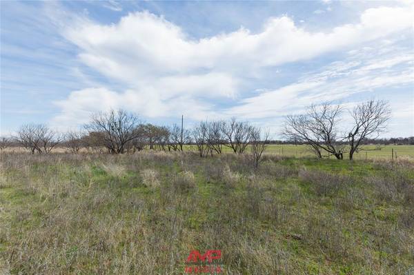 Anson, TX 79501,0000 CR 351