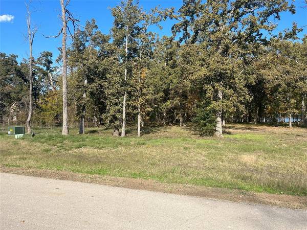 Quinlan, TX 75474,Lot 81 Open Water Point