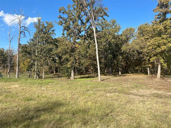 Quinlan, TX 75474,Lot 81 Open Water Point