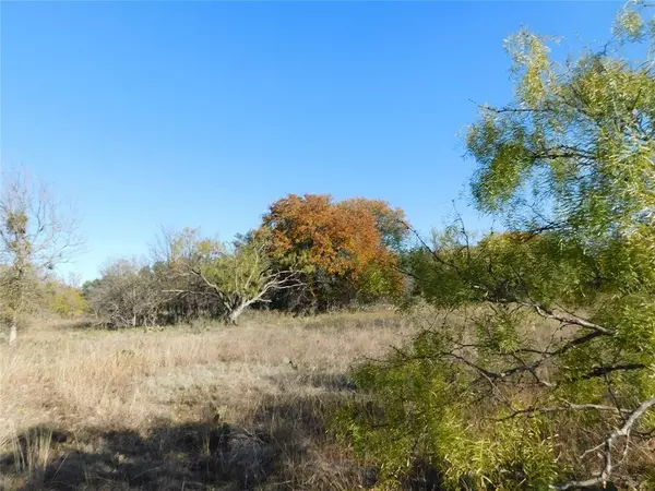 Brownwood, TX 76801,Lot 238 Feather Bay Drive