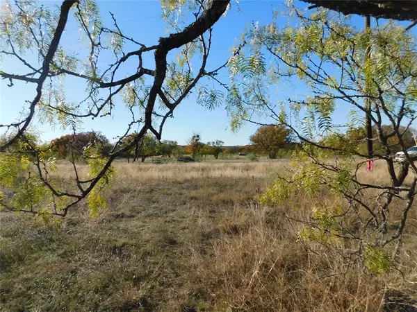 Brownwood, TX 76801,Lot 238 Feather Bay Drive