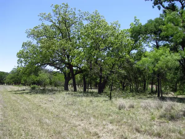 Evant, TX 76525,Lot 53 Buffalo Creek Drive