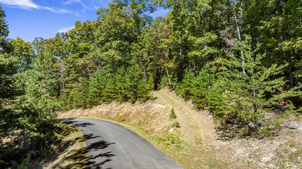 Morganton, GA 30560,Lot 12 Meadow Brook Trail