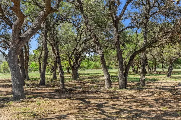 Fredericksburg, TX 78624,250 -- Brecken Ranch Rd