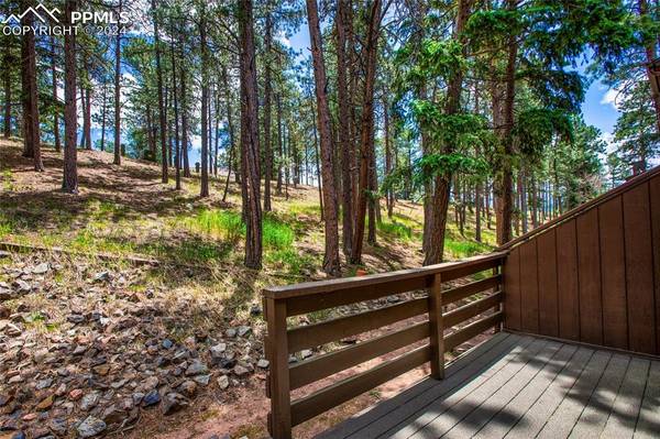 Woodland Park, CO 80863,570 Manor CT #B