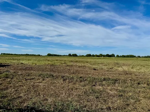 Pattonville, TX 75468,000 CR 14400 #5