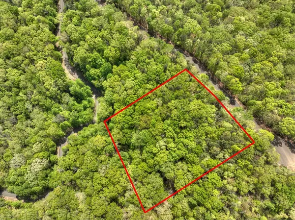 Ellijay, GA 30540,Lot 34 Saw Blade Lane