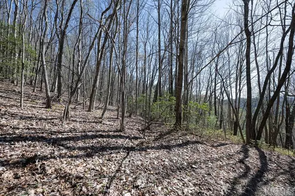 Lot 8 Meadow Crest Drive, Cashiers, NC 28717