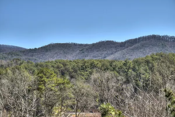 Blue Ridge, GA 30513,204 Mountain View Circle