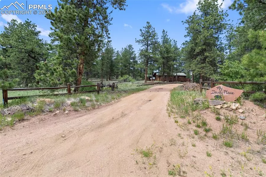 117 Pine Forest RD, Lake George, CO 80827