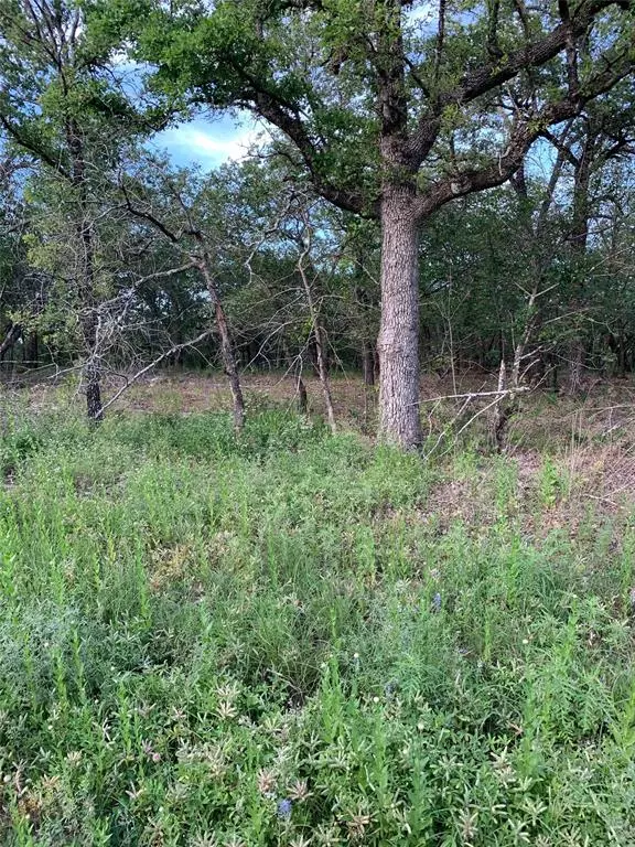 Runaway Bay, TX 76426,Lot 23 Hauser Place