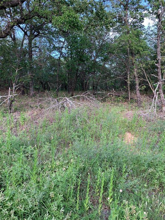 Runaway Bay, TX 76426,Lot 23 Hauser Place