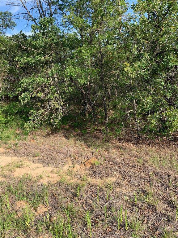 Runaway Bay, TX 76426,Lot 50 Jim Walters Drive