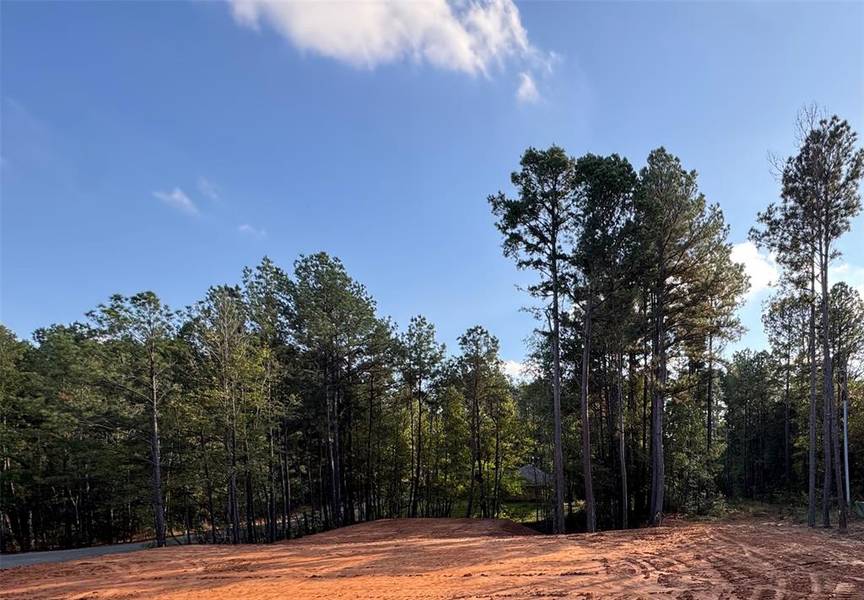 Lot 3 April Lane, Blanchard, LA 71107