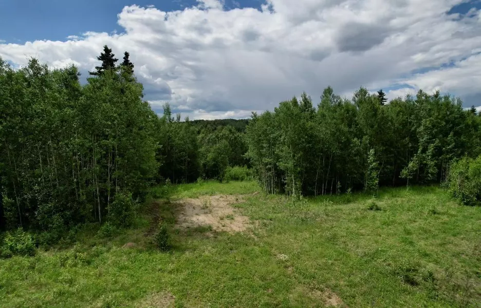 2, 115014 Township Road 583, Rural Woodlands County, AB T7S 1N3