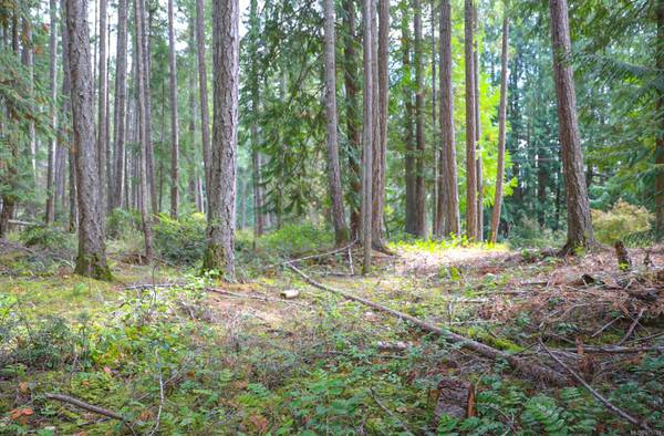 Lot 39 Lockinvar Lane, Gabriola Island, BC V0R 1X3