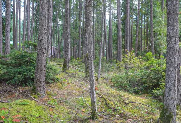 Gabriola Island, BC V0R 1X3,Lot 39 Lockinvar Lane