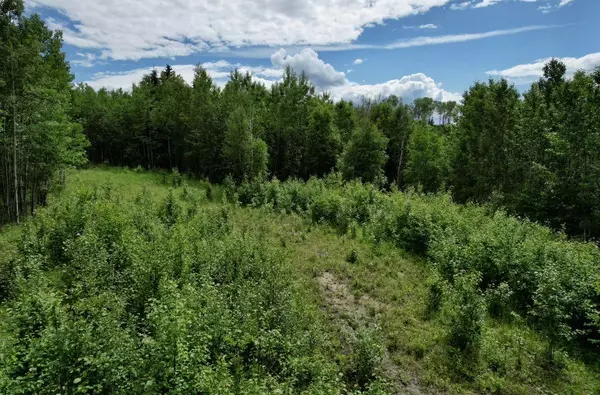 Rural Woodlands County, AB T7S 1N3,2, 115014 Township Road 583