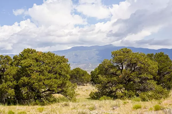 46 & 47 Colorado Land and Grazing, Gardner, CO 81040