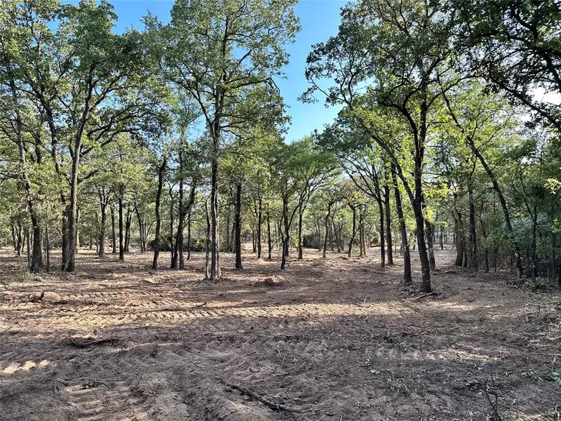 8436 CR 1204, Rio Vista, TX 76093