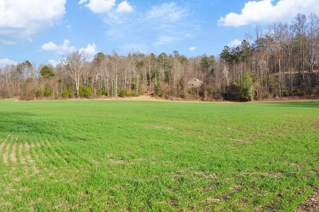 Ellijay, GA 30536,8.03 New Hope Road