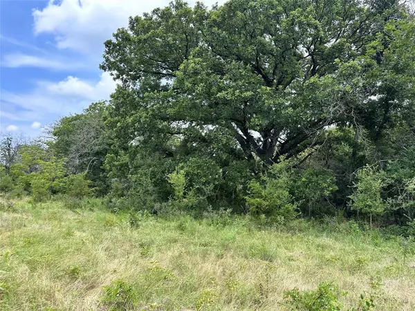 Dublin, TX 76446,TBD County Road 266