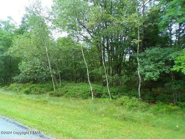 Penn Forest Township, PA 18210,Lot 79 Patten Circle