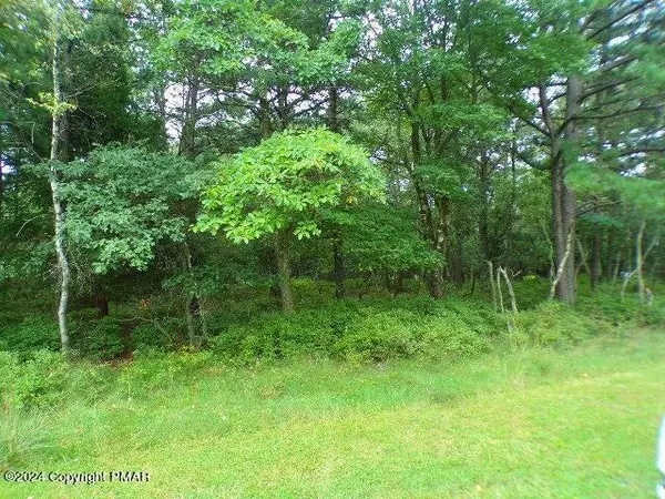 Penn Forest Township, PA 18210,Lot 79 Patten Circle